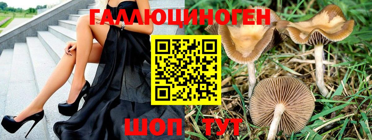 Галлюциногенные грибы GOLDEN TEACHER Дербент