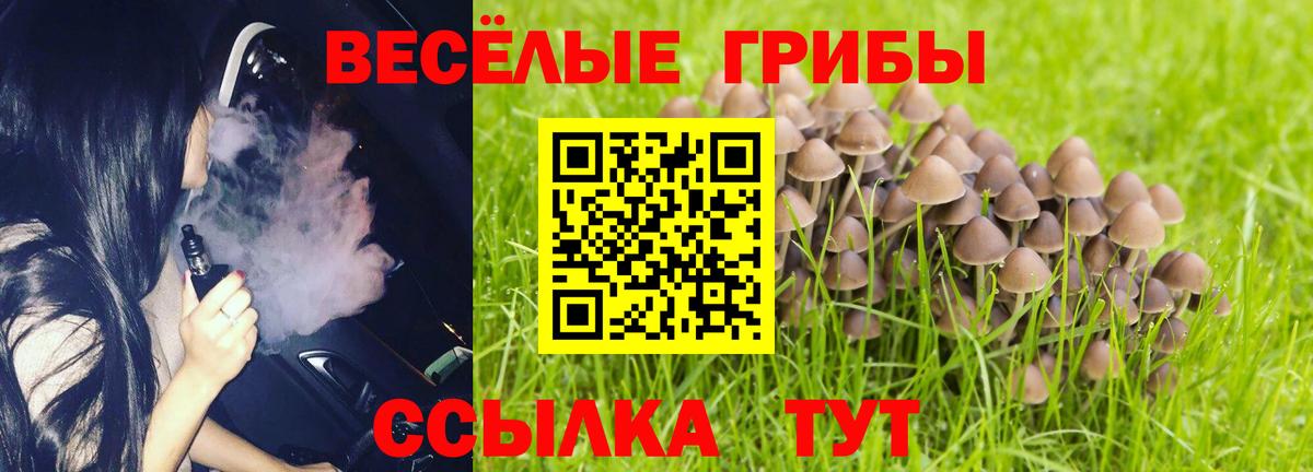 Дербент  Галлюциногенные грибы мухоморы  Галлюциногенные грибы мухоморы  Вход с VPN 